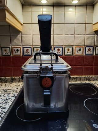 Freidora Tefal 3L Acero Inoxidable