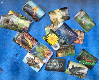 Planeta Sorprendente 44 Cromos Colombia