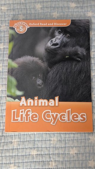 Animal life cycles