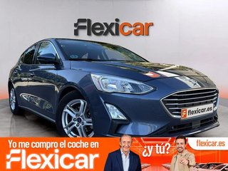 Ford Focus 1.5 Ecoblue 88kW Trend+ Auto