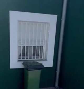 6 Rejas de Hierro para Ventana