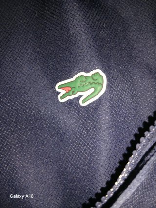 Chándal Lacoste niño talla 14 origuinal