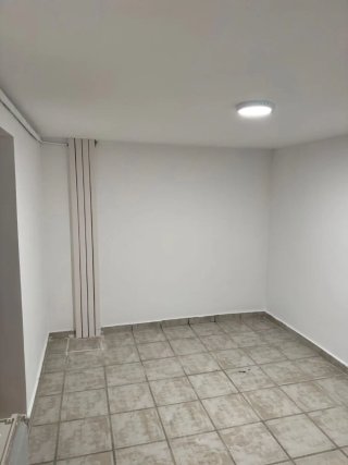 Pintor profesional: Pintura y alisado de paredes