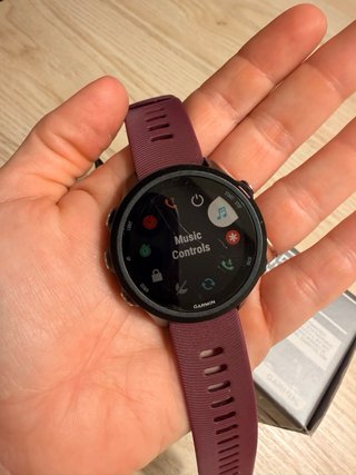 Garmin Forerunner 245 Morado GPS