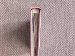 Álbum de fotos bebé rosa con bloques ABC