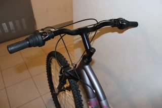 Bicicleta de Aluminio 26 Pulgadas. Chica.