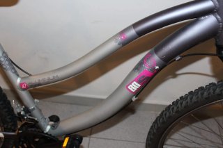 Bicicleta de Aluminio 26 Pulgadas. Chica.