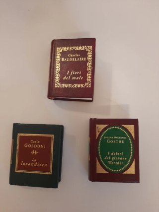 Micro libri di classici della letteratura