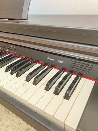 Piano Digital Ringway TG8852