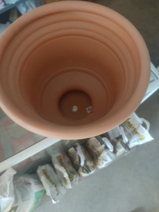 Maceta Copa Terracota