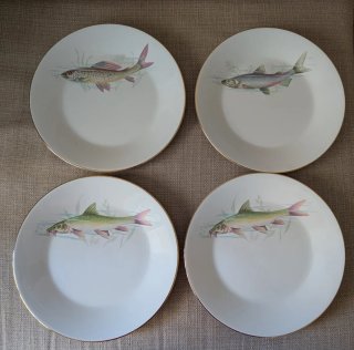 4 Platos Porcelana Antiguo con Motivo Pez diferent