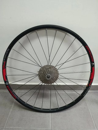 Rueda Bontrager Mustang Elite TLR 29 TUBELESS
