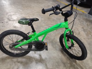 Bicicleta Infantil 18 Pulgadas Verde