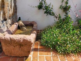 Piso en alquiler en Puerto Chico en Santander