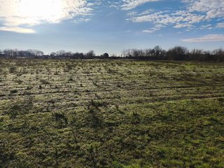 Terreno en venta en Candeleda