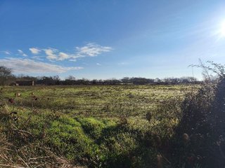 Terreno en venta en Candeleda