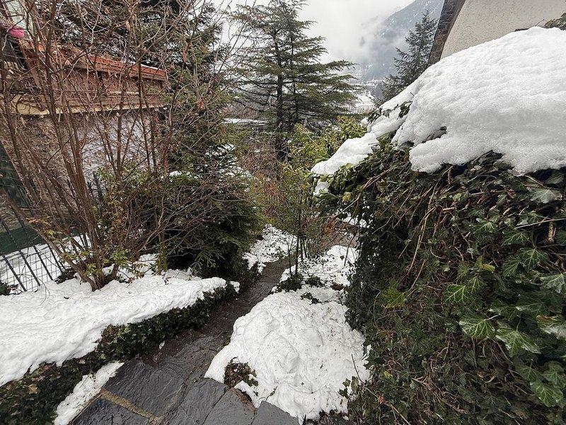4-bedroom house for rent in La Massana · 17 of 19