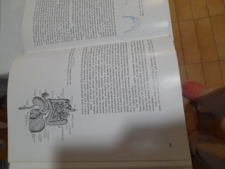 Libros enciclopedia  medicina