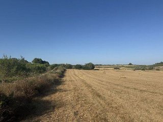 Terreno en venta en Campos