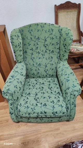 Sillón de Orejas Estampado Verde