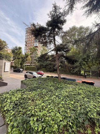 Local comercial en alquiler en Fuentelarreina en Madrid