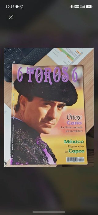 Gran Lote de 100 Revistas Taurinas "6 Toros 6"