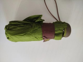Paraguas Plegable con Estuche