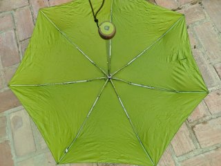 Paraguas Plegable con Estuche