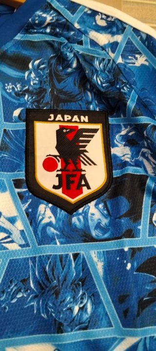 Camiseta de fútbol Japón JFA