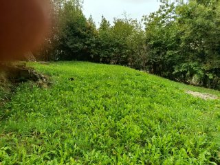 Alquiler finca rústica