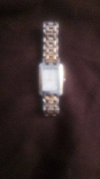 Reloj Festina Plateado y Dorado