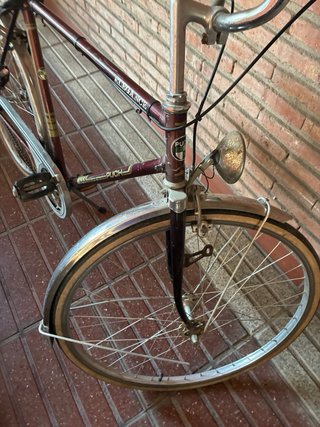 Bicicleta de paseo clásica