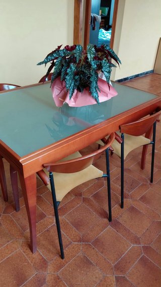 Mesa extensible Paco Capdell + 4 sillas