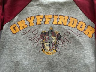 Sudadera Gryffindor Harry Potter