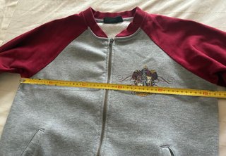 Sudadera Gryffindor Harry Potter