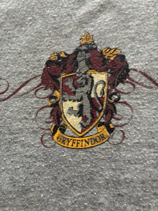 Sudadera Gryffindor Harry Potter