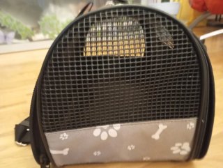 Transportín perro <5kg casi nuevo