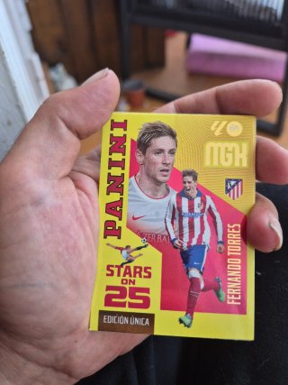 Cromo Panini Fernando Torres Stars on 25