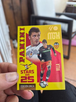 Cromo Panini David Villa Stars on 25
