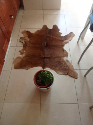Alfombra de piel de animal 95x87