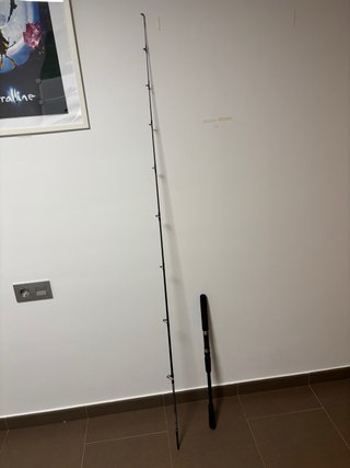 Caña de Pesca para Embarcación