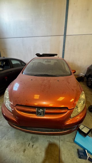 Despiece Peugeot 307 (2001-2005)