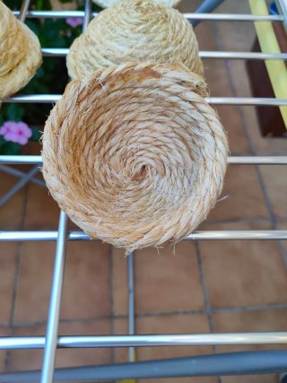 Nidos de pita.