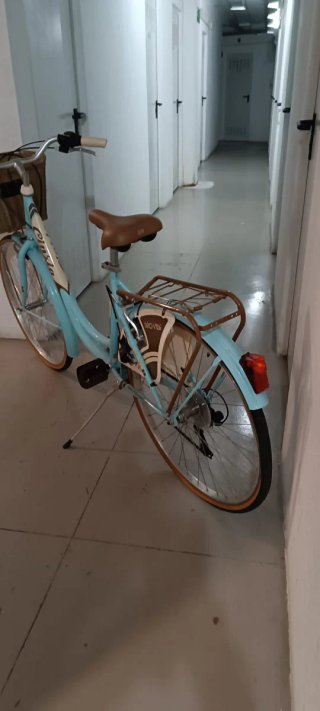 Bicicleta urbana vintage Cinzia con cesto