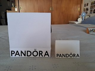Bolsa y Estuche Pandora