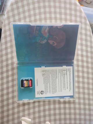 Pocket Bravery Nintendo Switch