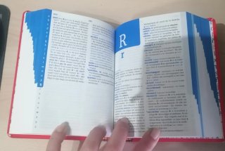 Diccionario Dico avanzado: français-espagnol, e...