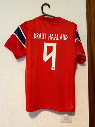 Camiseta Noruega Talla L HALAND
