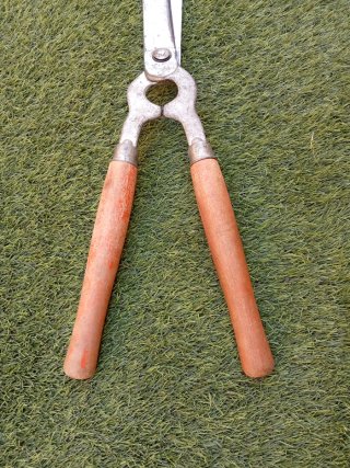Forbici da giardino per potatura