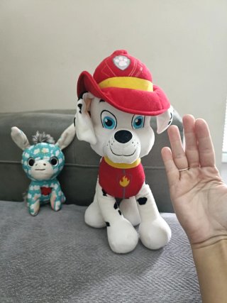 Peluche Patrulla canina y Burrito